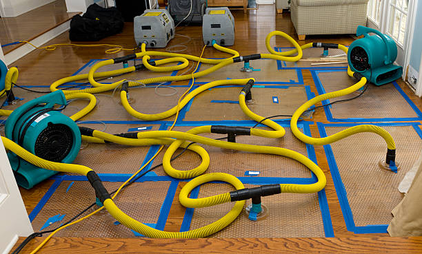 Professional Basement Flood Cleanup technician working in Isle Saint George, OH